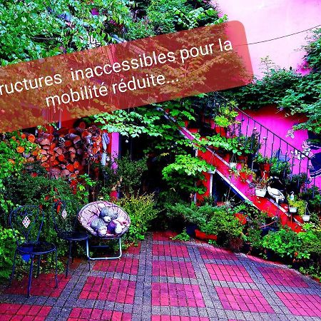 Tilly'S B&B And Apartment House Le Hohwald Exterior foto