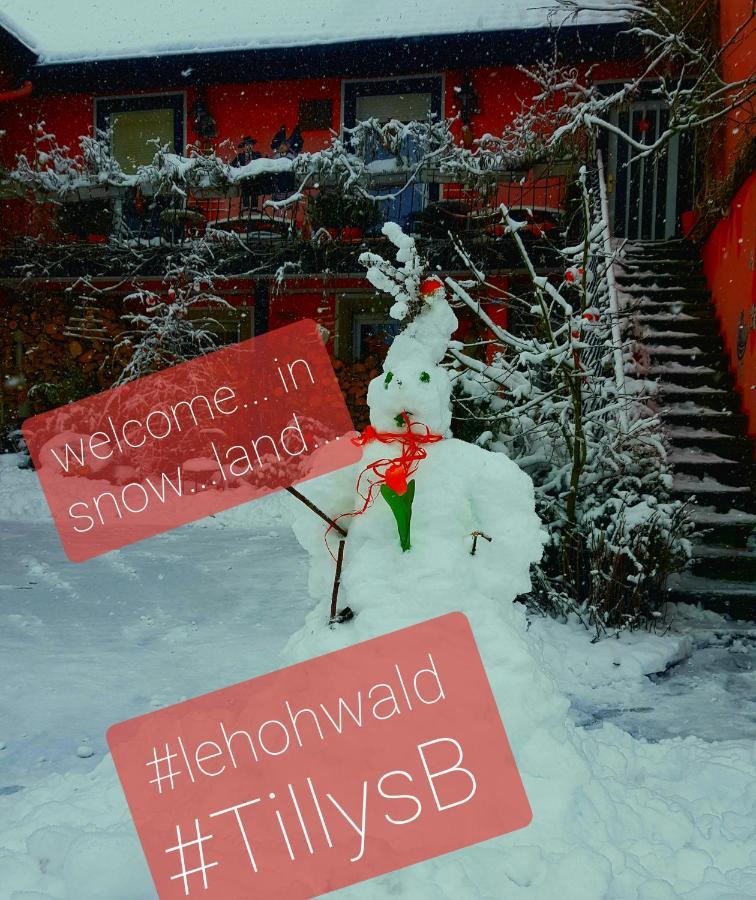 Tilly'S B&B And Apartment House Le Hohwald Exterior foto
