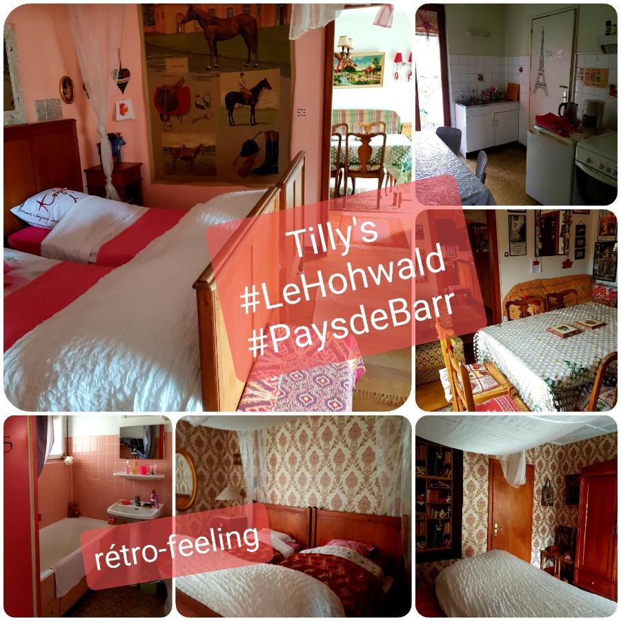 Tilly'S B&B And Apartment House Le Hohwald Exterior foto
