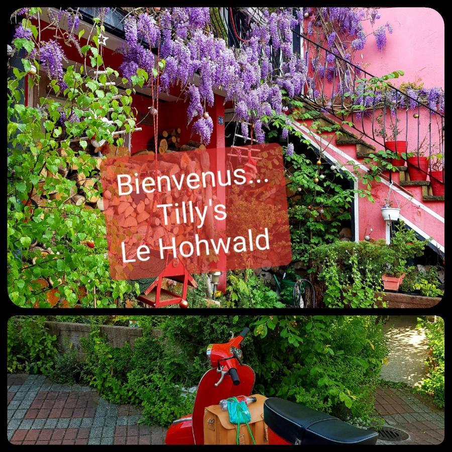 Tilly'S B&B And Apartment House Le Hohwald Exterior foto
