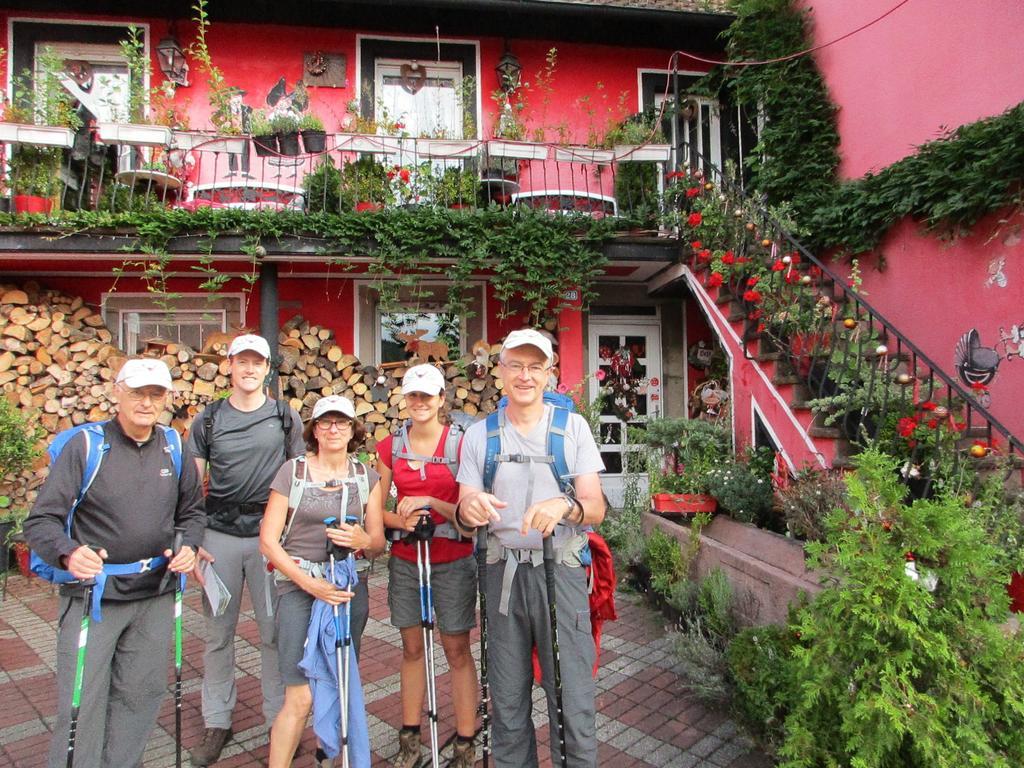 Tilly'S B&B And Apartment House Le Hohwald Exterior foto