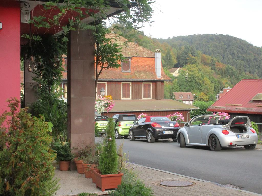 Tilly'S B&B And Apartment House Le Hohwald Exterior foto